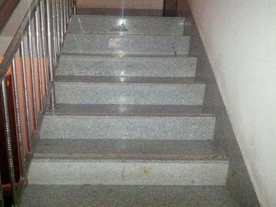 【招遠皓巖】招遠珍珠花價格 招遠珍珠花批發 招遠珍珠花廠家圖片|【招遠皓巖】招遠珍珠花價格 招遠珍珠花批發 招遠珍珠花廠家產品圖片由招遠市皓巖石材公司生產提供-