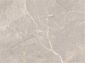 諾曼奇陶瓷 圖 廣東佛山瓷磚 廣東瓷磚